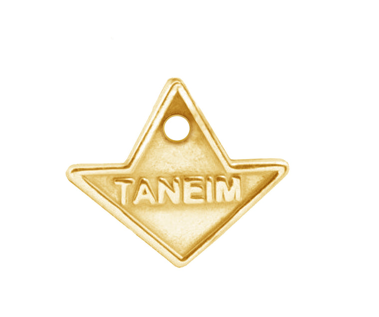 1 ONE - TANEIM STAR 14K GOLD (OR) 925 SILVER