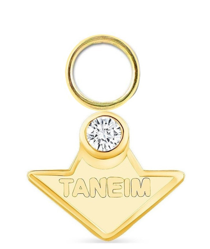 ONE TANEIM- 14K SOLID GOLD DIAMOND (OR) 925 SILVER STAR DANGLIER