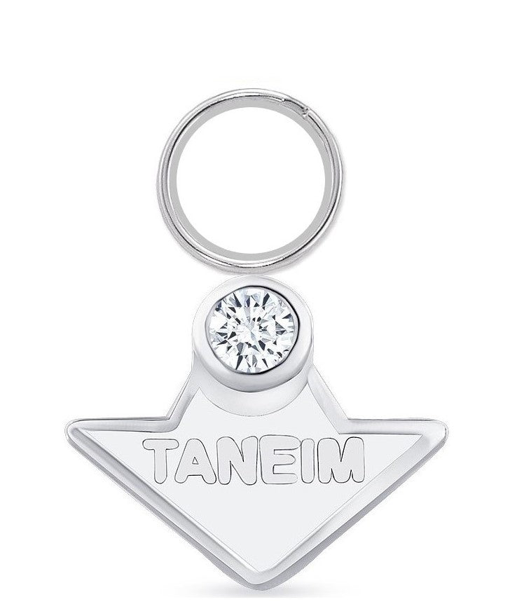 ONE TANEIM- 14K SOLID GOLD DIAMOND (OR) 925 SILVER STAR DANGLIER