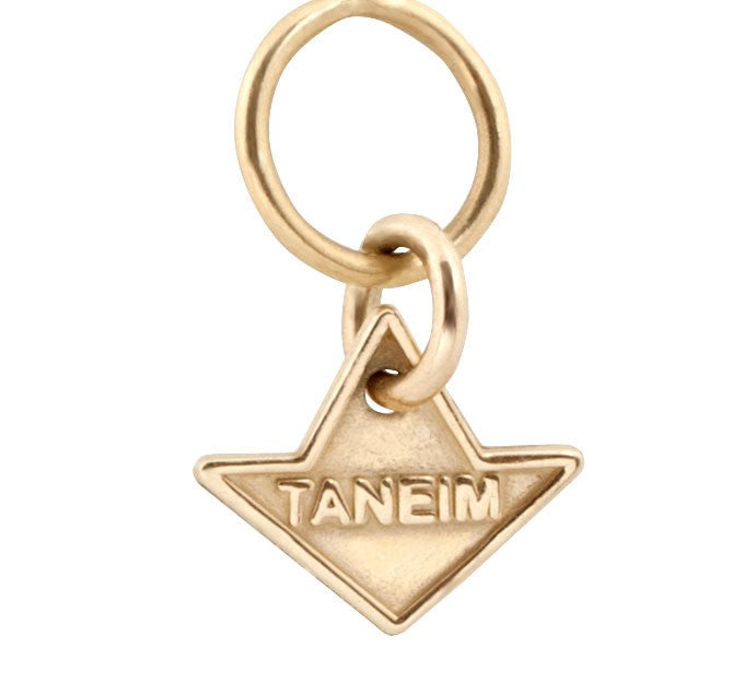 14K SOLID GOLD (OR) 925 SILVER TANEIM STAR "DANGLIER"