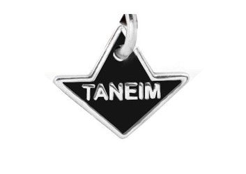 TANEIM STAR 925 SILVER GLOBE-ALIVE UNISEX SPIRITUAL BRACELET