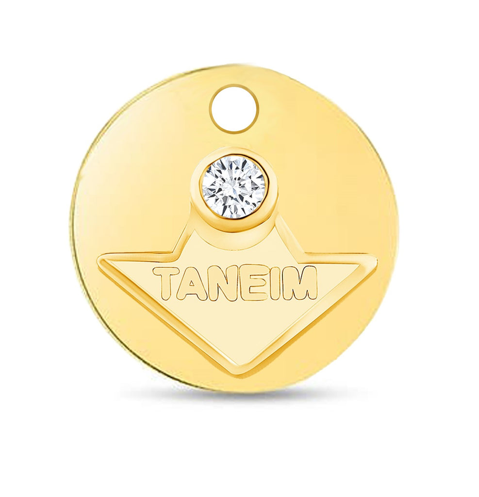 14K YELLOW GOLD TANEIM STAR DIAMOND COIN