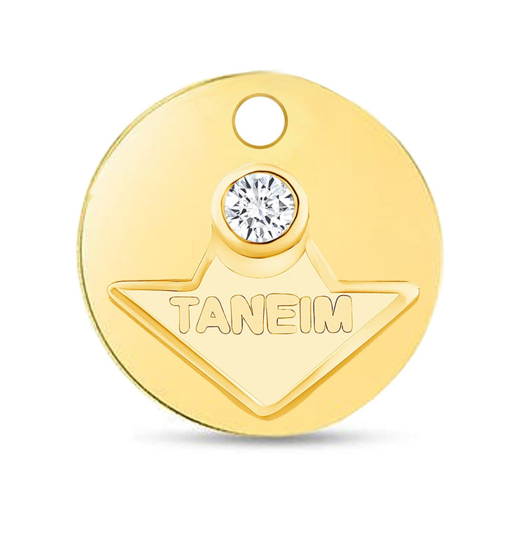 14K YELLOW GOLD TANEIM STAR DIAMOND COIN